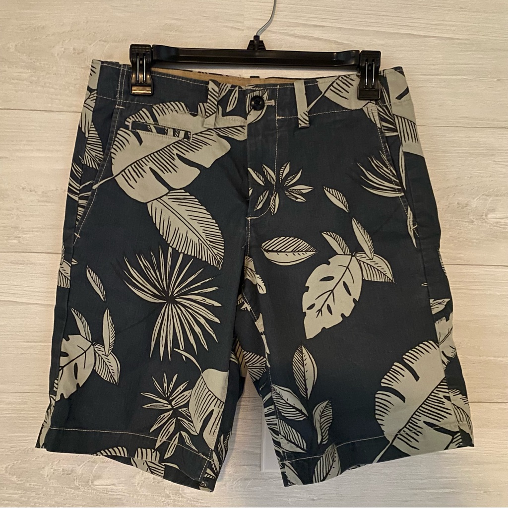 Gap The Lived-In Short Men's Size 28